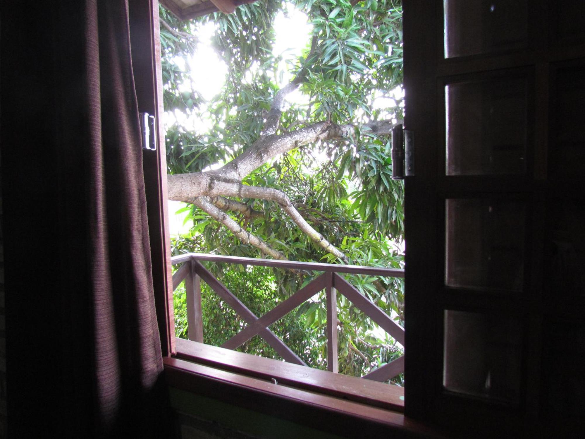 Ape Namaste Leilighet Natal Rom bilde